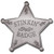STINKIN' BADGE (STAR) PH-82