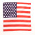 American Flag Cotton Scarf 10044114