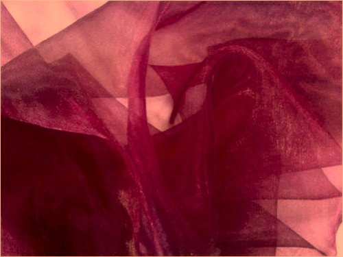 Sheer Mirror Organza - Burgundy