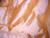Coral Pink Orange 100% Authentic Silk Fabric