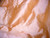 Coral Pink Orange 100% Authentic Silk Fabric