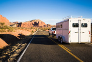 Several of the Most Common Rear Trailer Door Hinge Problems Solved.
