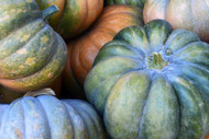 Happy Thanksgiving from Austin Hardware & Supply, Inc.