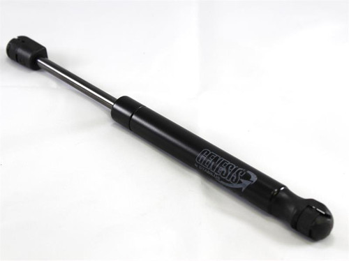 Gas Spring, 250EX 78ST 180N 8X18 PE10 40LBS