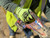 SFT-GV-000-C4-MED Work Gloves, HPPE Cut Resistant Shell, Hi-Vis, Nitrile Coated Palm and Fingertips, Nitrile Micro-Dotted Palm, Reinforced Thumb Crotch, 18 Gauge, Size M Austin Hardware & Supply