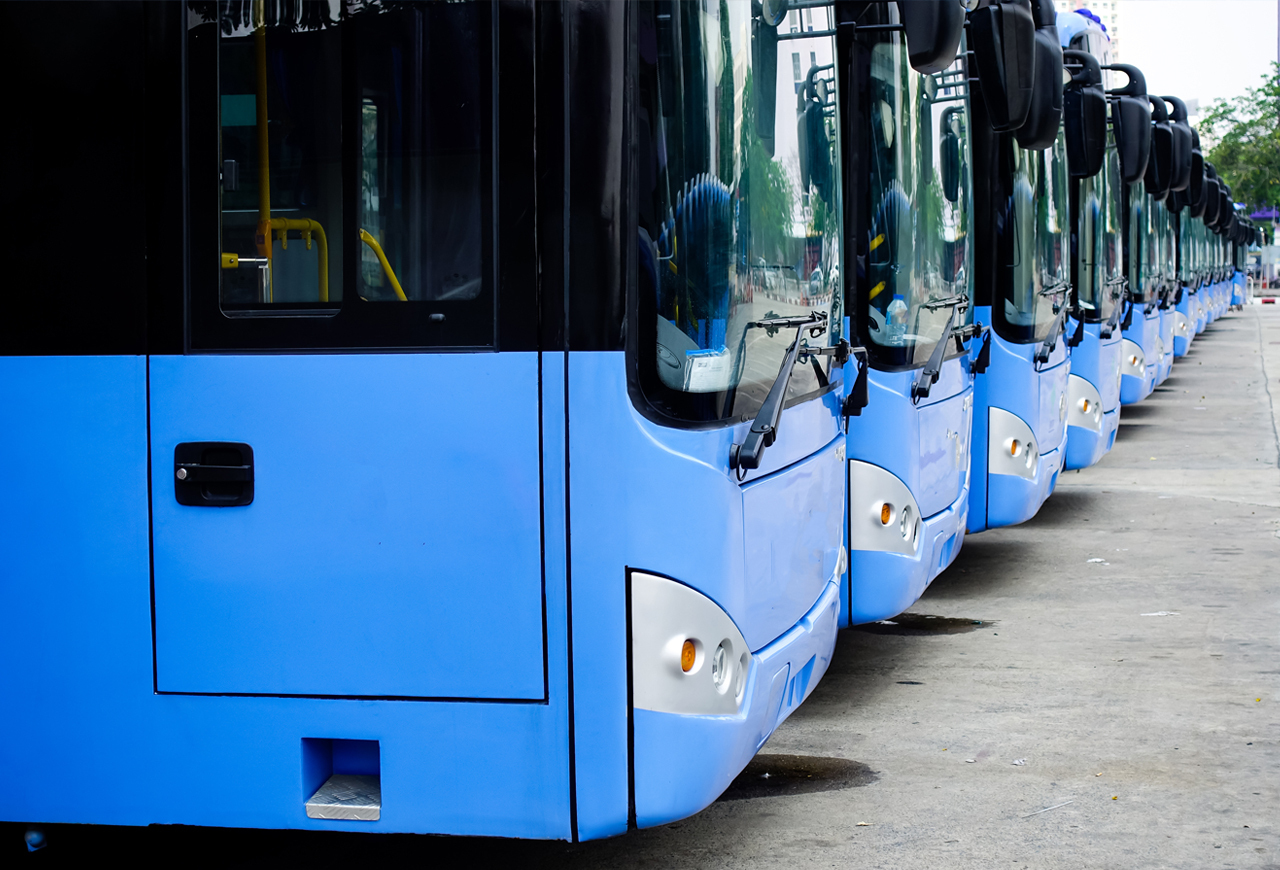 blue buses
