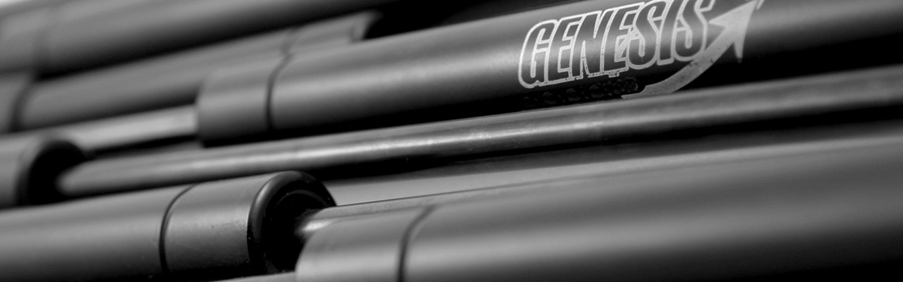 Close up of Genesis gas springs