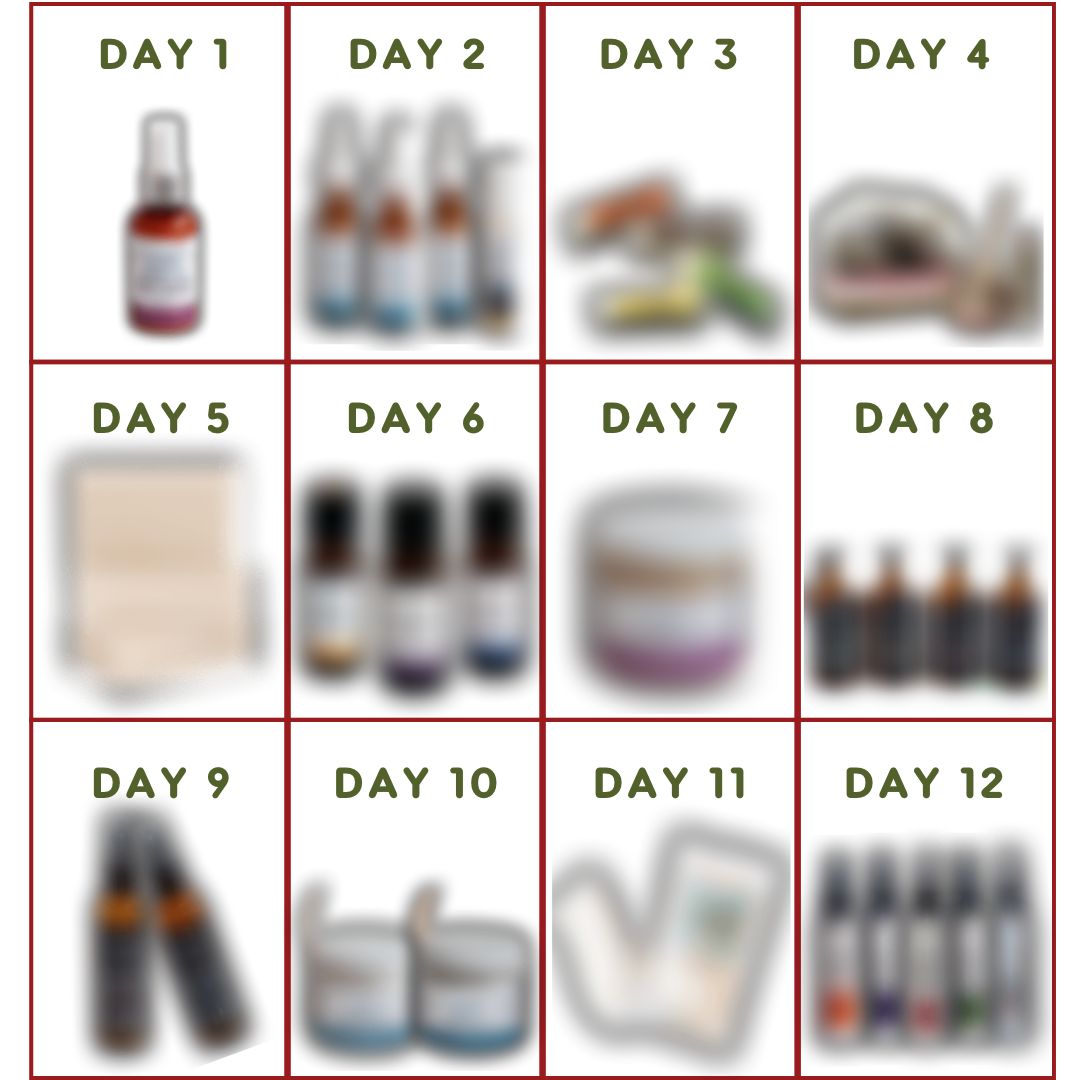 12 Days of Christmas Sale Guidelines + Preview