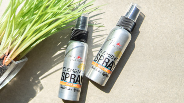 Deet-Free Bug Spray that Really Works!