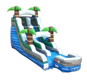 15' Tropical Wet/Dry Slide Rental Starting At: