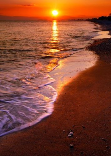 Selfie Booth Beach Backdrop