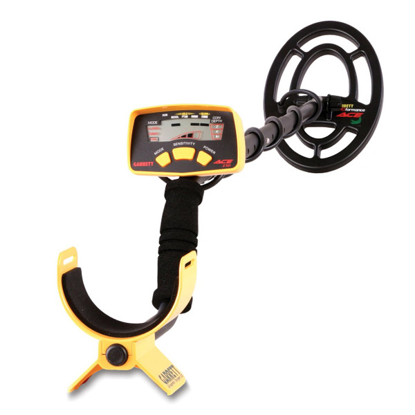 Metal Detector Rental Starting At:
