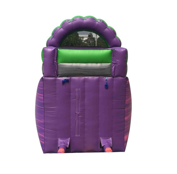 15' Purple Marble Wet/Dry Slide Rental Starting At: