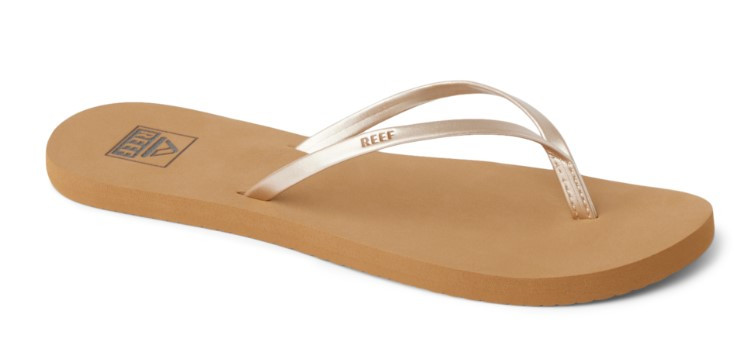 Reef Bliss Nights '26