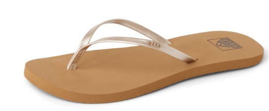 Reef Bliss Nights '26