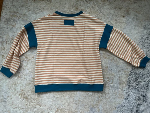 Harvest Stripe Pullover – Camel & Blue