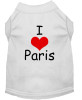 I Love Paris Screen Print Shirts 