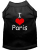 I Love Paris Screen Print Shirts 