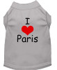 I Love Paris Screen Print Shirts 