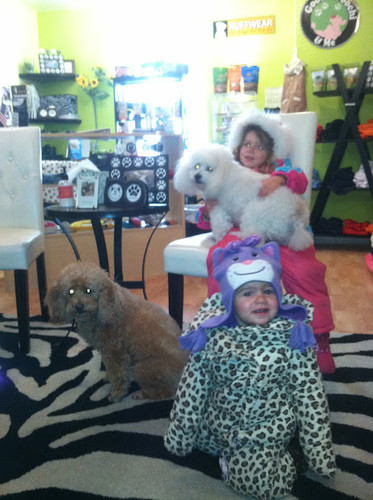 Getting your dog to 20!