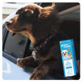 Help! My Dog is Stressed in the Car