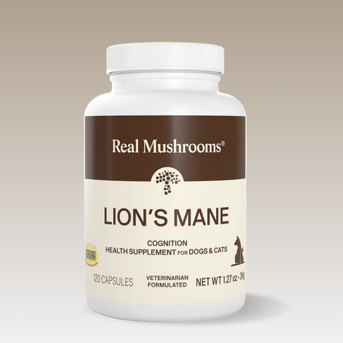 Lion's Mane Mushroom Capsules for Pets