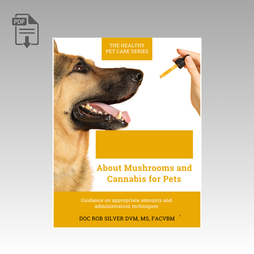 The Truth About Mushrooms and Cannabis for Pets The Truth About Mushrooms and Cannabis for Pets
