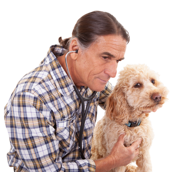 Partner with Doc Rob