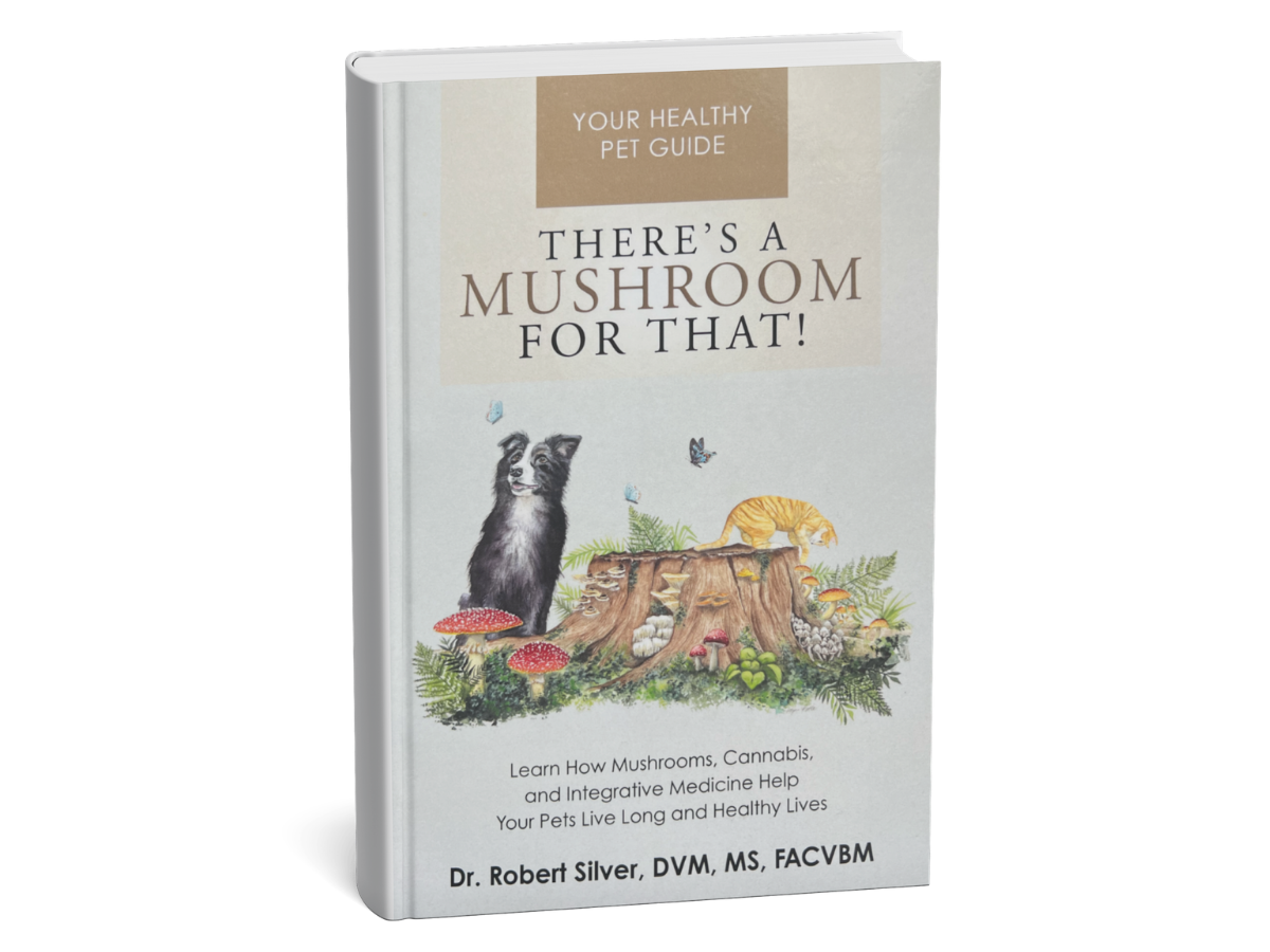 There's a Mushroom for That book by Dr. Robert Silver