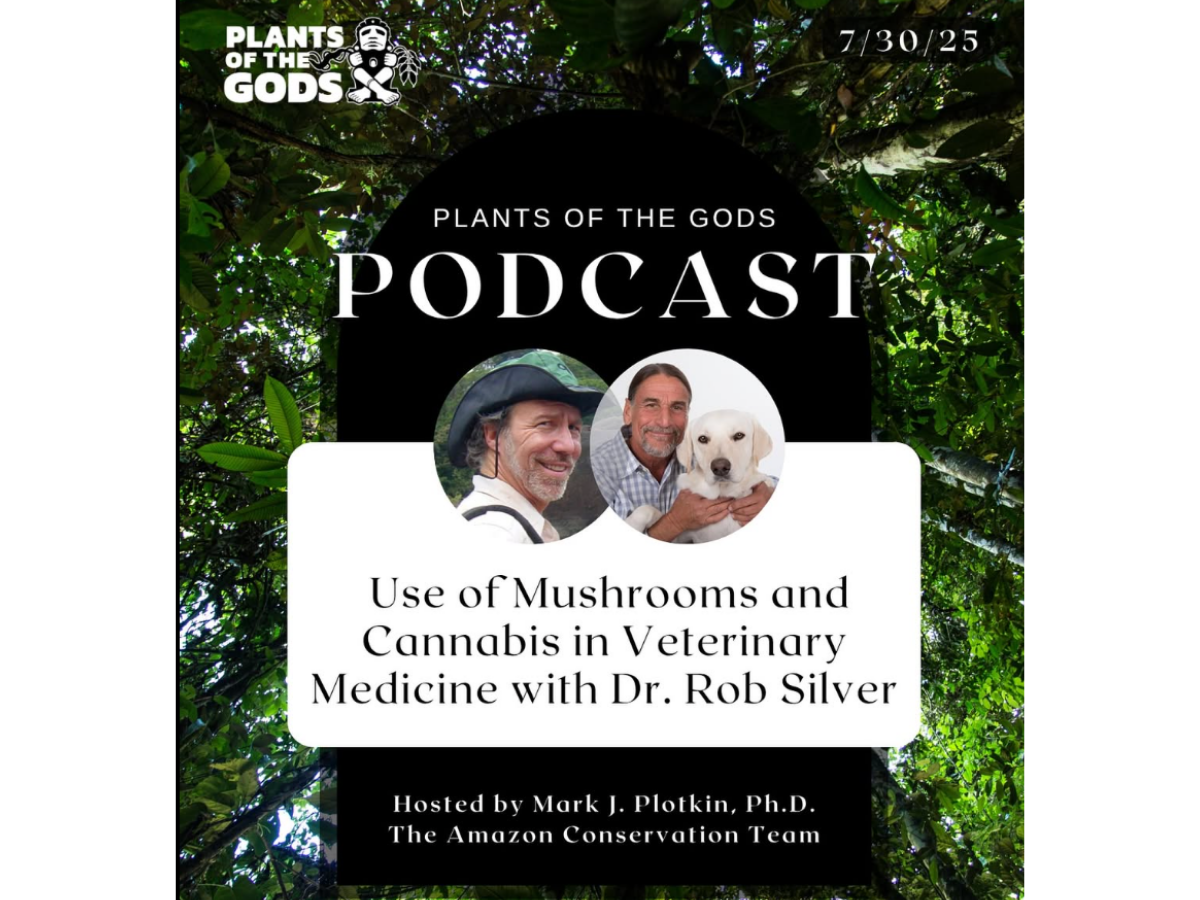Podcast conversations featuring Dr. Silver