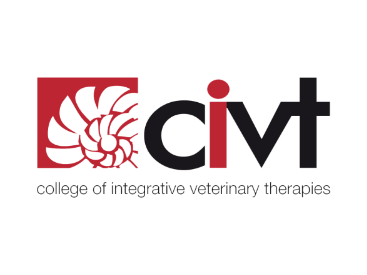 Courses and professional education