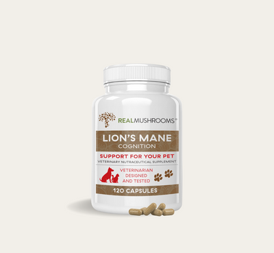 Lion's Mane Capsules from Real Mushrooms for Pets - Well-Pet Dispensary