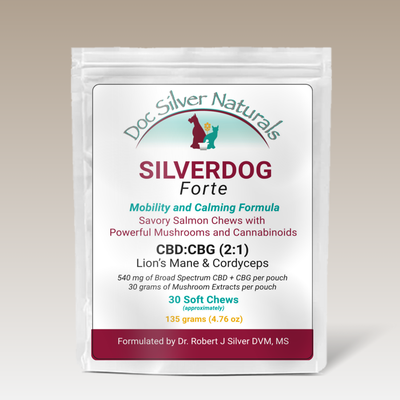 SilverDog Forte with Lion's Mane and Cordyceps - Well-Pet Dispensary