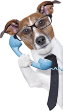 wellpetdispensary customer service