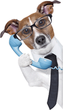 wellpetdispensary customer service