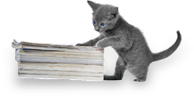 Treats N Stuff for Dogs and Cats