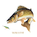 WALLEYE  2 JUMPIN F ISH T-SHIRT