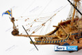 WASA MUSEUM SAVY LOGO