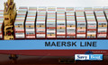 MAERSK MC-KINNEY MOLLER 48” CONTAINER SHIP