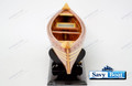 CANADIAN CEDAR STRIP MOAT CANOE 24