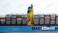 MAERSK EMMA CONTAINER 48” RC READY SHIP
