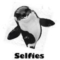 ORCA WAHALE SELFIE SOLAR TRANS  ADULT T-SHIRT