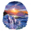 COSMIC SERINITY HORSES  T-SHIRT