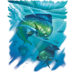 DORADO FISHING T-SHIRT