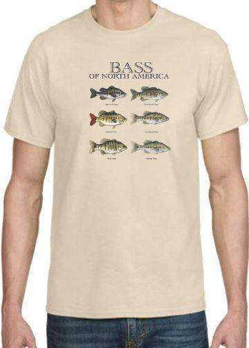 BASS COMBO  T-SHIRT