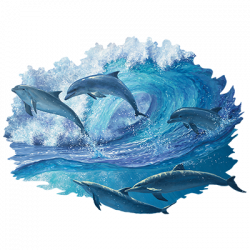 DOLPHIN KEEP ON SWIMMING T-SHIRT