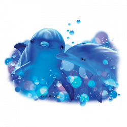 KISSING DOLPHONS T-SHIRT