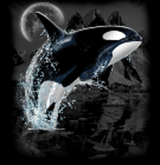 KILLER WHALE MOON BREACH ORCA T-SHIRT
