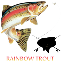 RAINBOW TROUT LEAP T-SHIRT