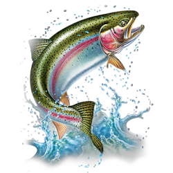 ACTION RAINBOW TROUT T-SHIRT